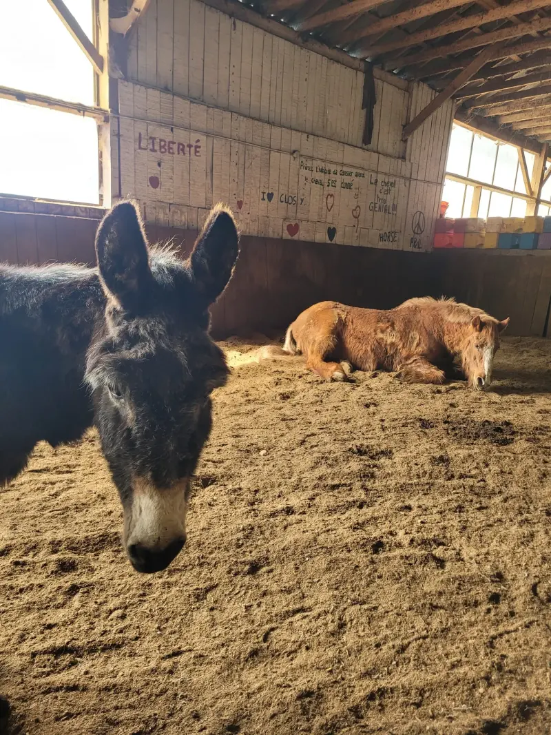 ferme pédagogique