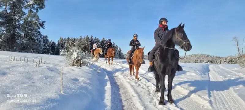Cours du clos yakari