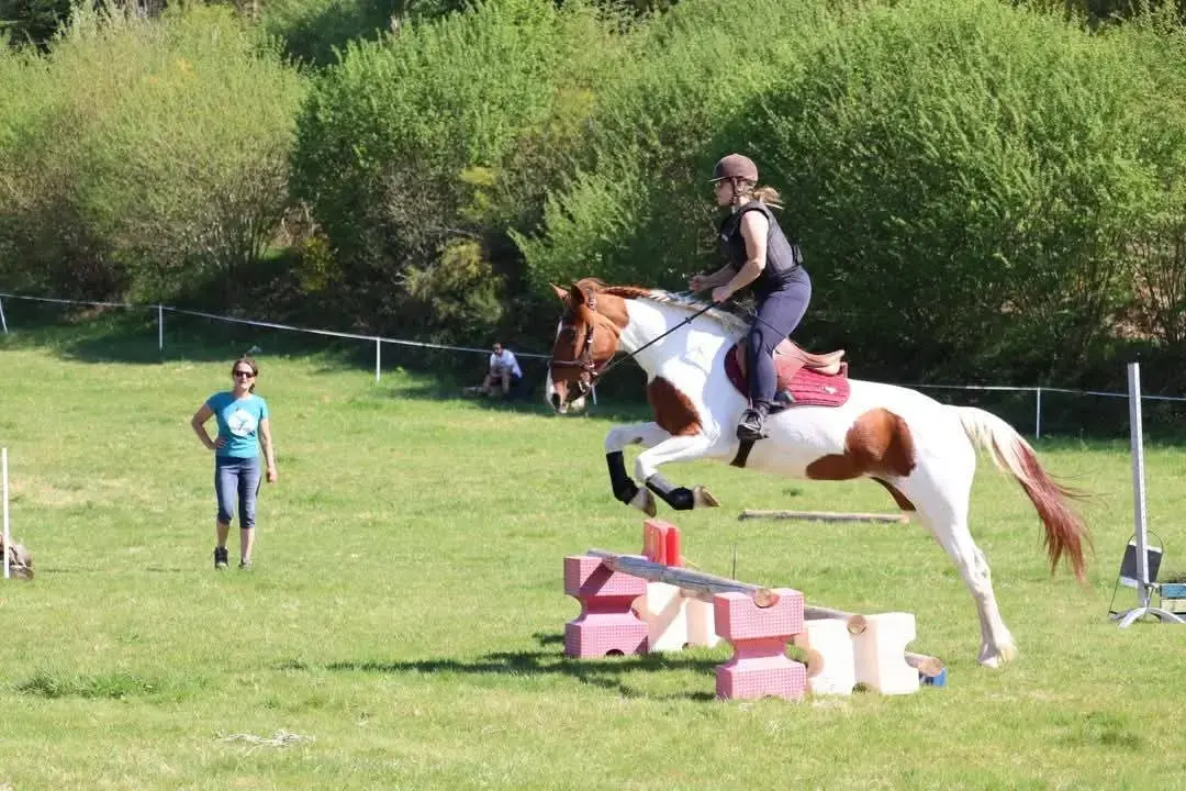 Formations ATE & Équitation Éthologique