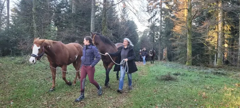 Cours du clos yakari